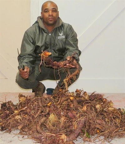 Two arrested for harvesting muti